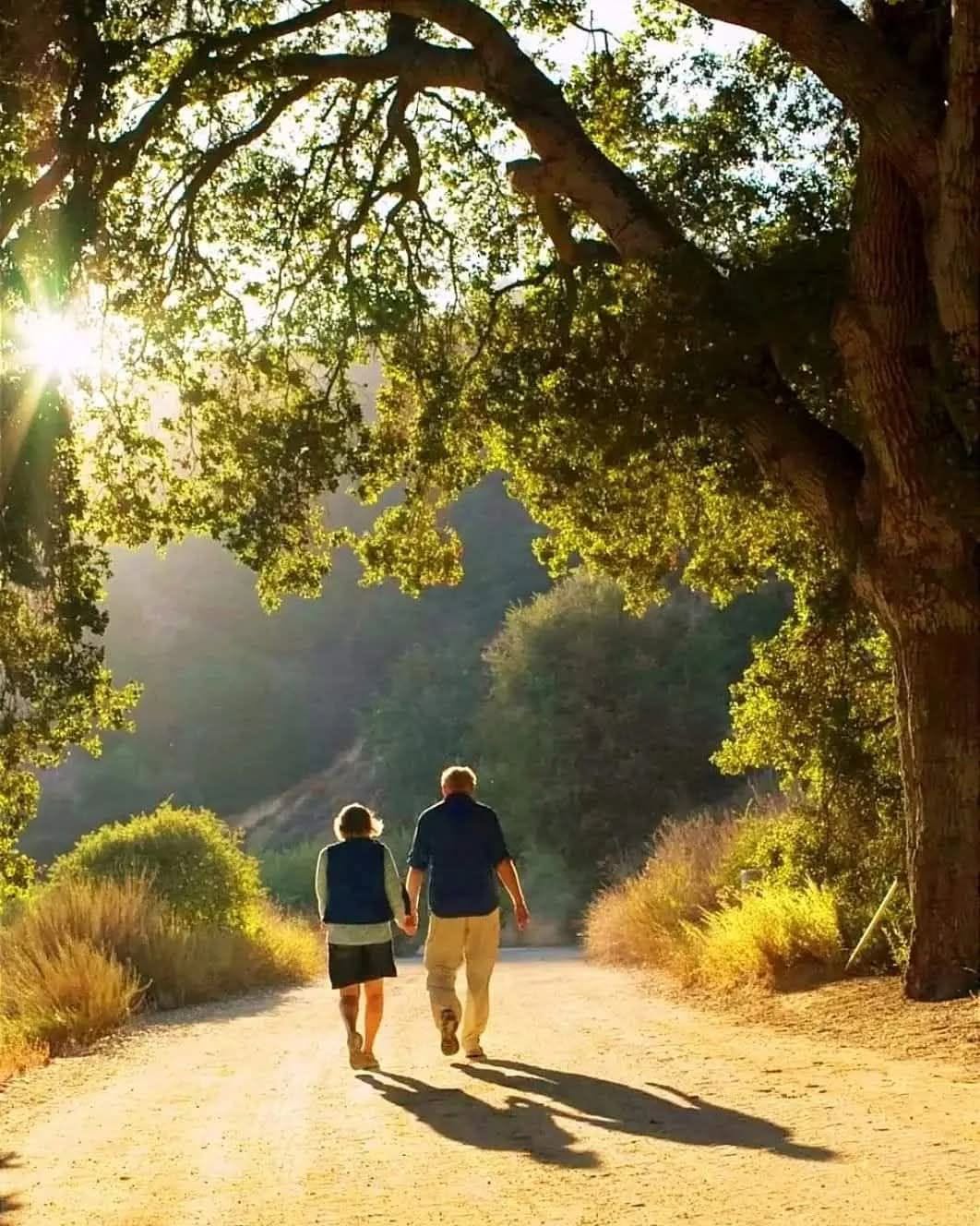 Two people walking hand in hand along a sunlit dirt road under a large oak tree